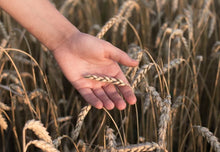 Load image into Gallery viewer, Spelt Flakes 3lbs