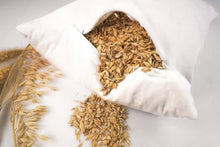 Load image into Gallery viewer, Spelt Pillow Gabi
